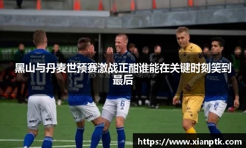 黑山与丹麦世预赛激战正酣谁能在关键时刻笑到最后